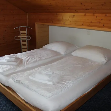 Appartement Zentrale In Grindelwald